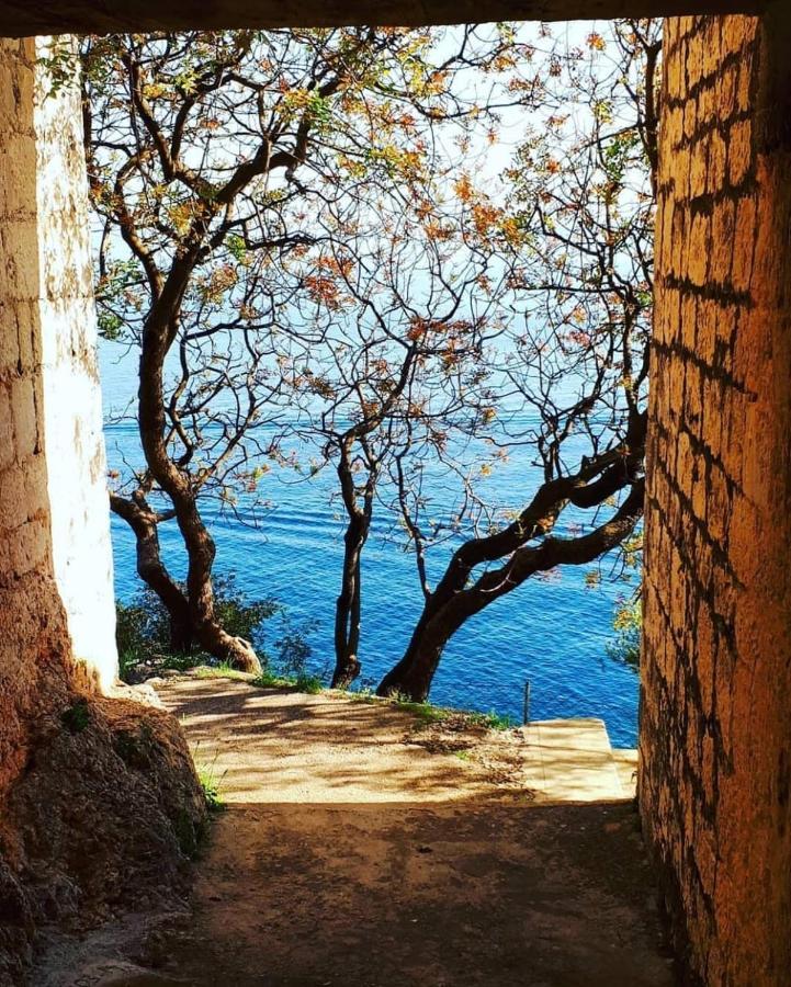 Eden Mediterranean House Vrsine Luaran gambar